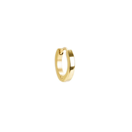 Borghetti Pharma Earrings Ref: 0803